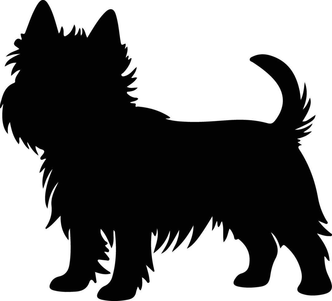 Norwich terrier Preto silhueta vetor