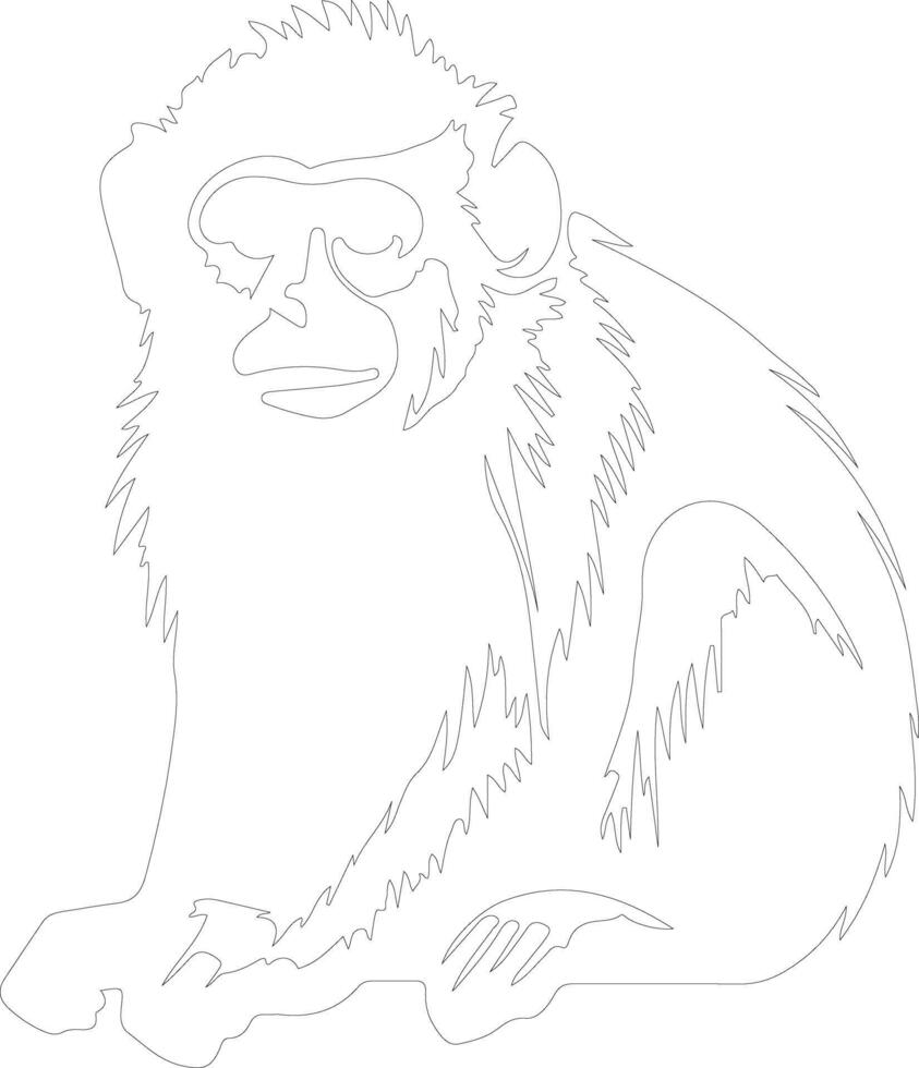 macaque esboço silhueta vetor