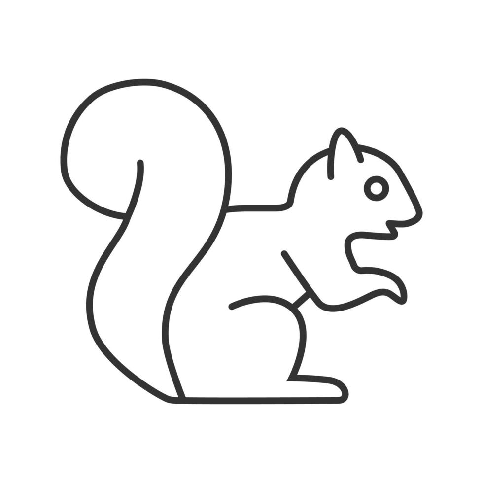 ícone linear de esquilo. ilustração de linha fina. Esquilo. símbolo de contorno. desenho de contorno isolado de vetor