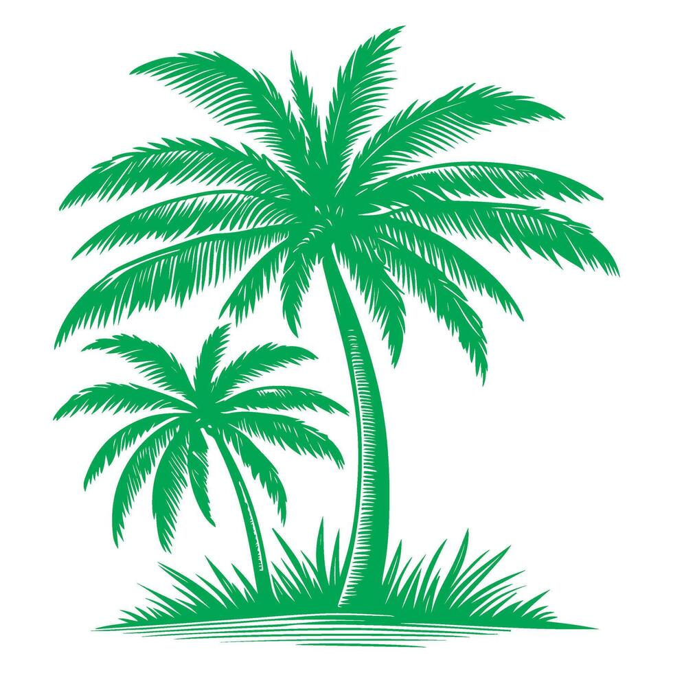 Palma ou coco árvore tropical verde folhas. mão desenhando rabisco esboço estilo vetor ilustração