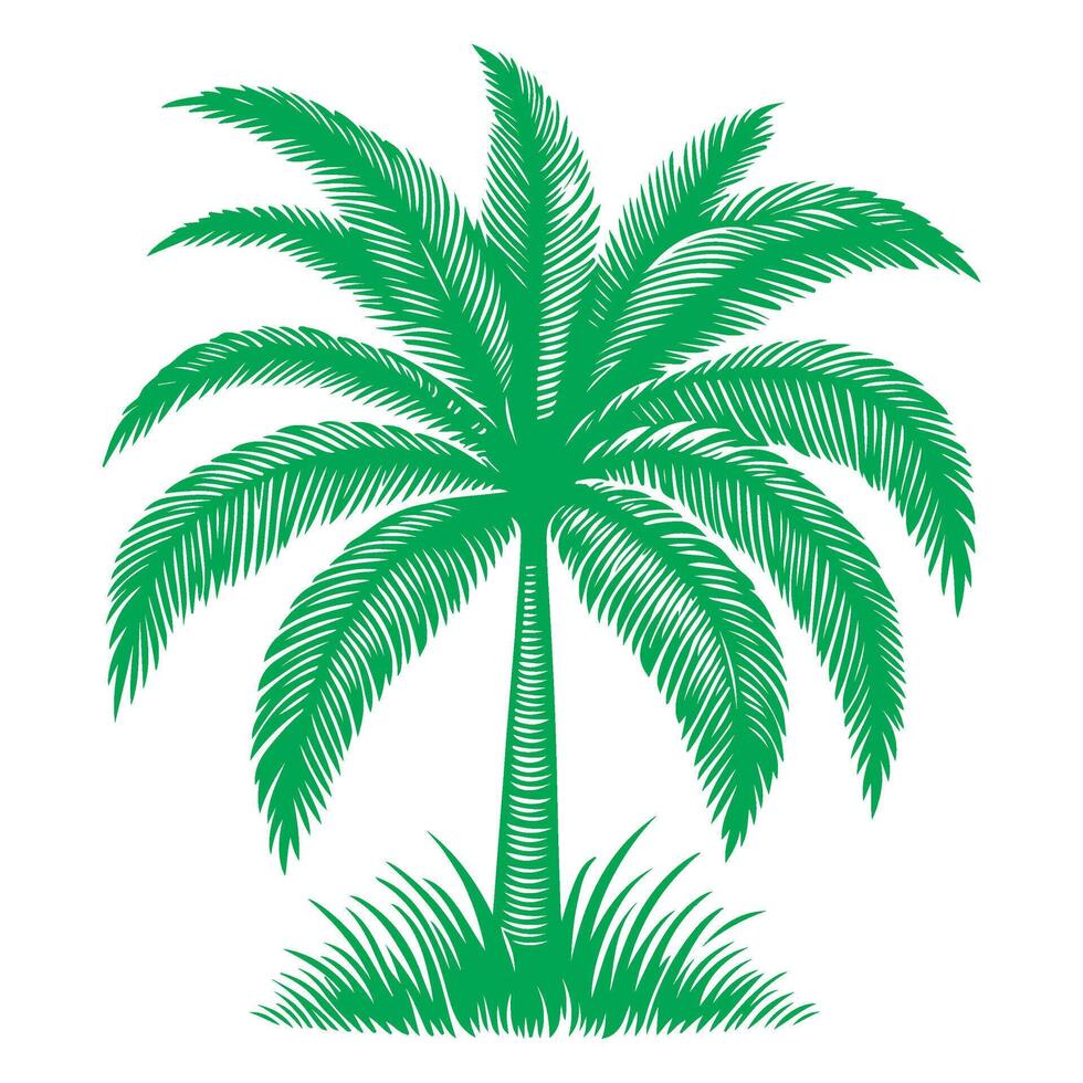 Palma ou coco árvore tropical verde folhas. mão desenhando rabisco esboço estilo vetor ilustração
