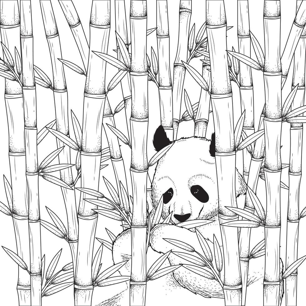 coloração página uma sorridente vermelho panda dentro a bambu floresta vetor