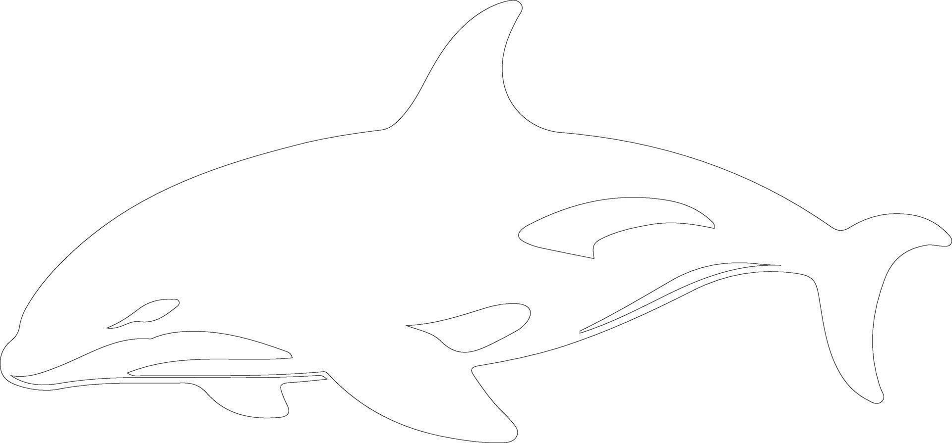 orca esboço silhueta vetor