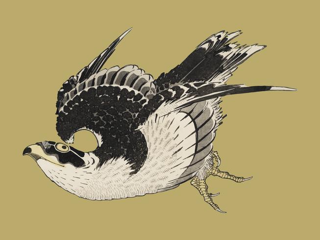 A ilustração do ukiyo-e, Hawk por Katsushika Hokusai (1849), um retrato de um falcão voador no céu. Digital aumentado de nossa própria cópia de bloco de madeira antiga. Digitalmente aprimorada pelo rawpixel. vetor