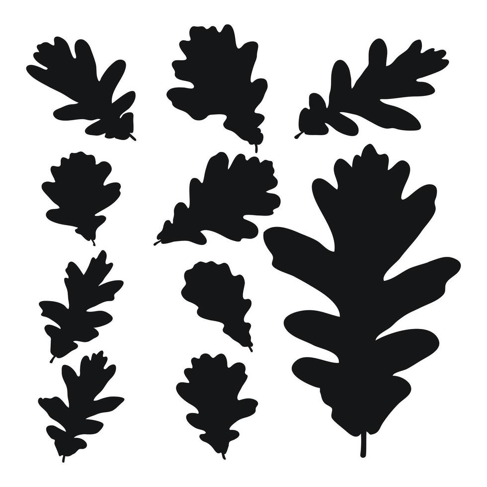 conjunto do vetor silhuetas do uma Preto forma do carvalho folhas