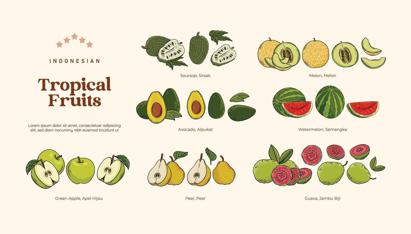 isolado tropical frutas ilustração, indonésio saudável frutas Projeto elemento vetor