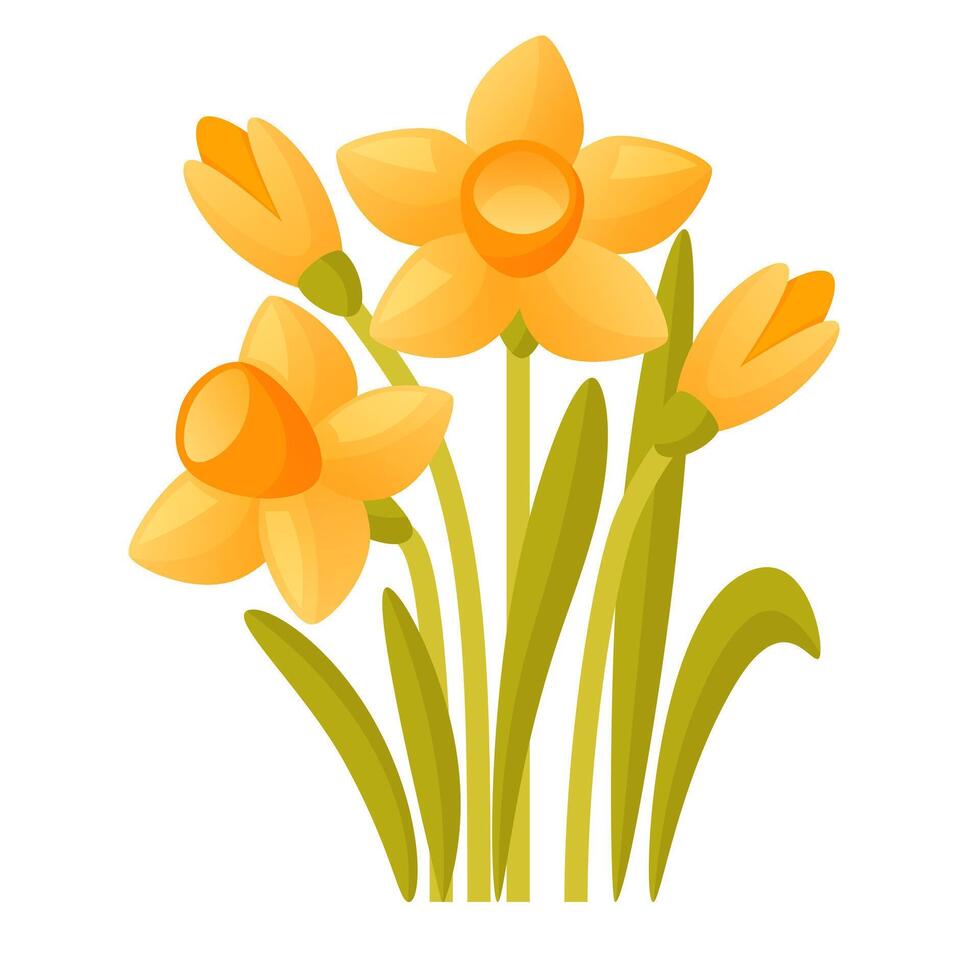 vetor conjunto do amarelo narcisos em uma branco fundo. cedo Primavera jardim flores