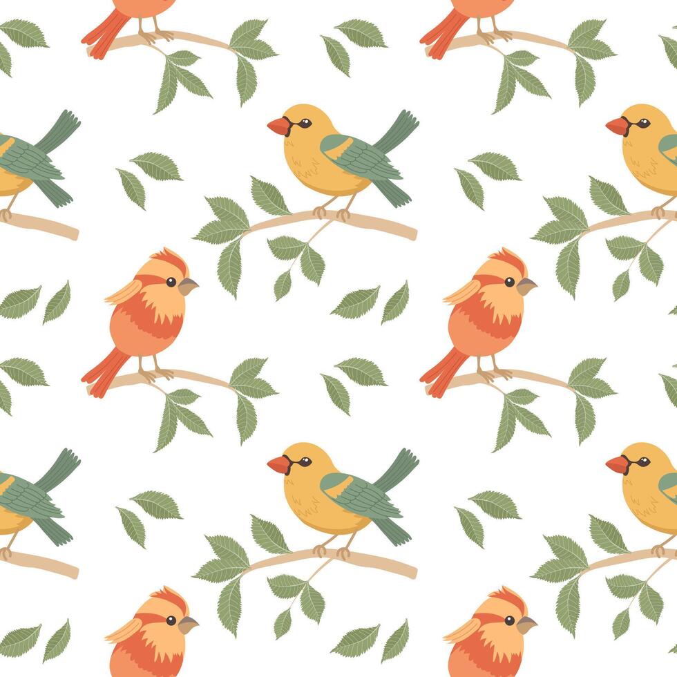 desatado padrão, fofa brilhante pássaros em árvore galhos em uma branco fundo. Primavera ilustração dentro plano desenho animado estilo. vetor
