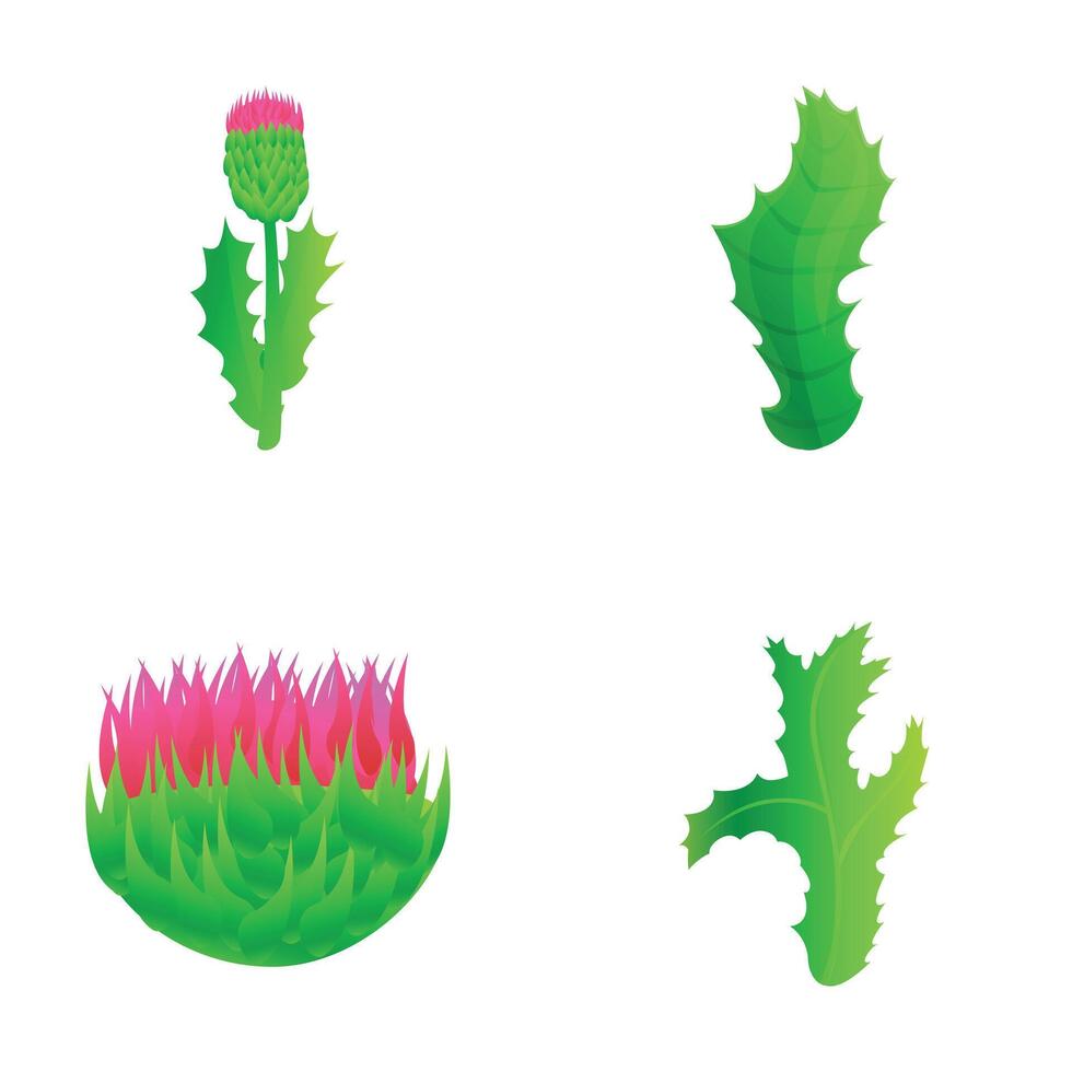 cardo ícones conjunto desenho animado vetor. roxa floração cardo com folha vetor