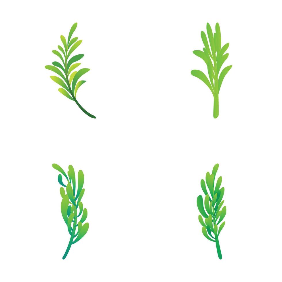 alecrim plantar ícones conjunto desenho animado vetor. verde folha e ramo do alecrim vetor