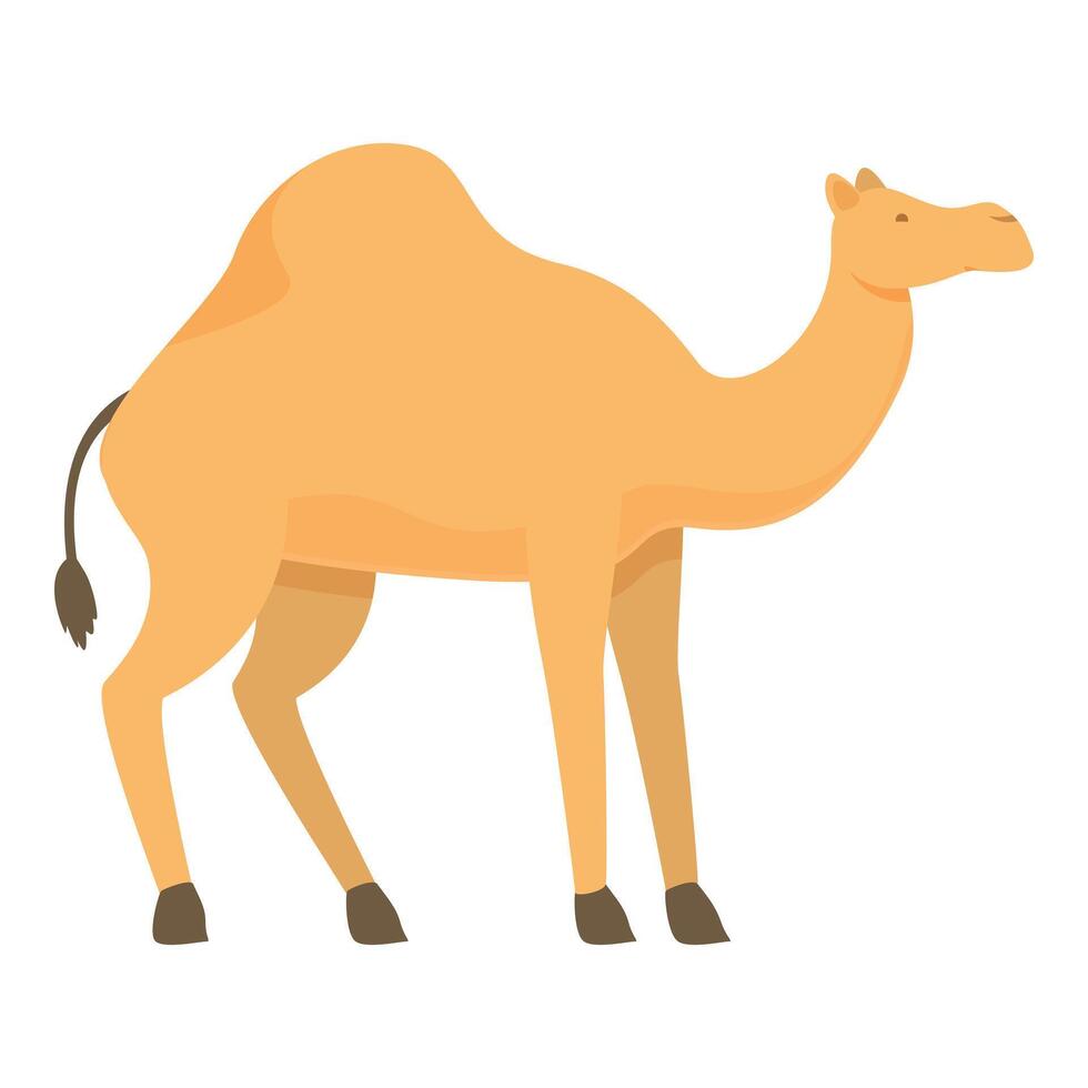 Catar camelo animal ícone desenho animado vetor. nação turismo vetor