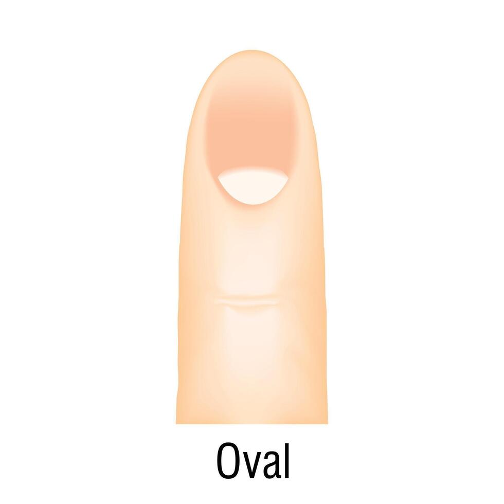 oval unha manicure ícone desenho animado vetor. brilhante moda vetor