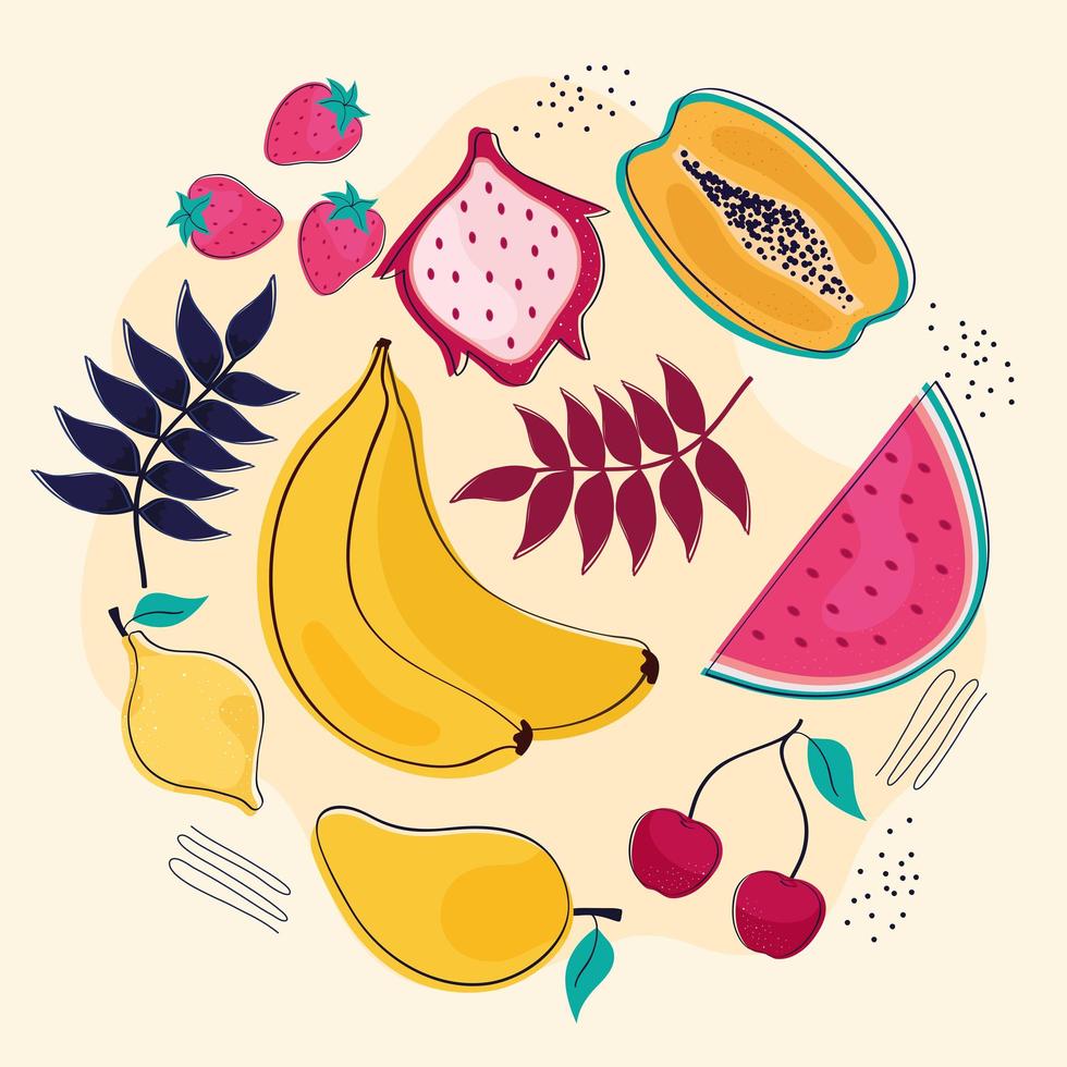 frutas e folhas vetor