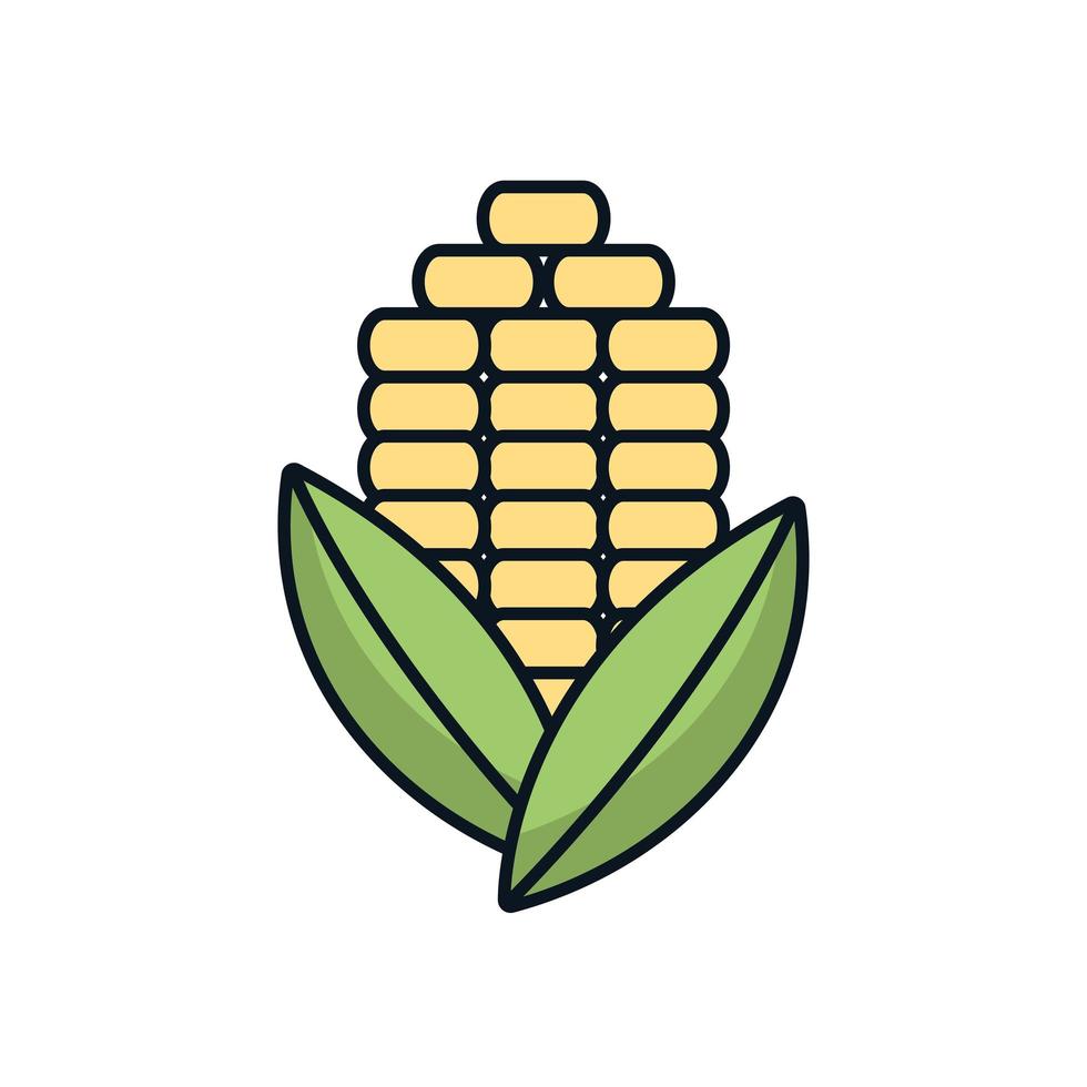 ícone isolado de vegetais de sabugo de milho vetor