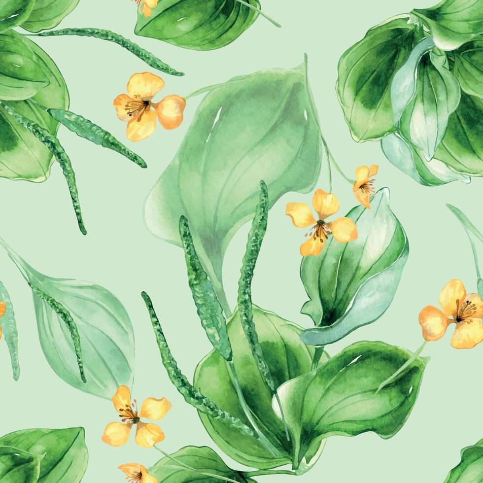 Plantago folha larga, celandine aguarela desatado padronizar isolado em pastel fundo. banana-da-terra, verde folhas, erva quelidônio, psyllium mão retirou. Projeto para têxtil, pacote, papel de parede, invólucro vetor