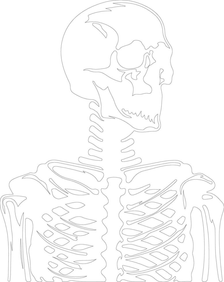 esqueleto esboço silhueta vetor