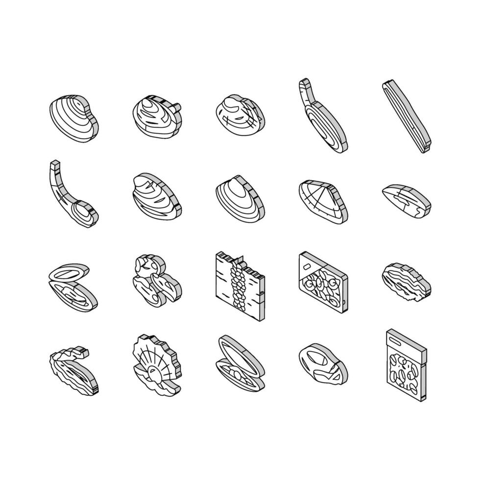 molusco marinho mar Fazenda nutrição isométrico ícones conjunto vetor
