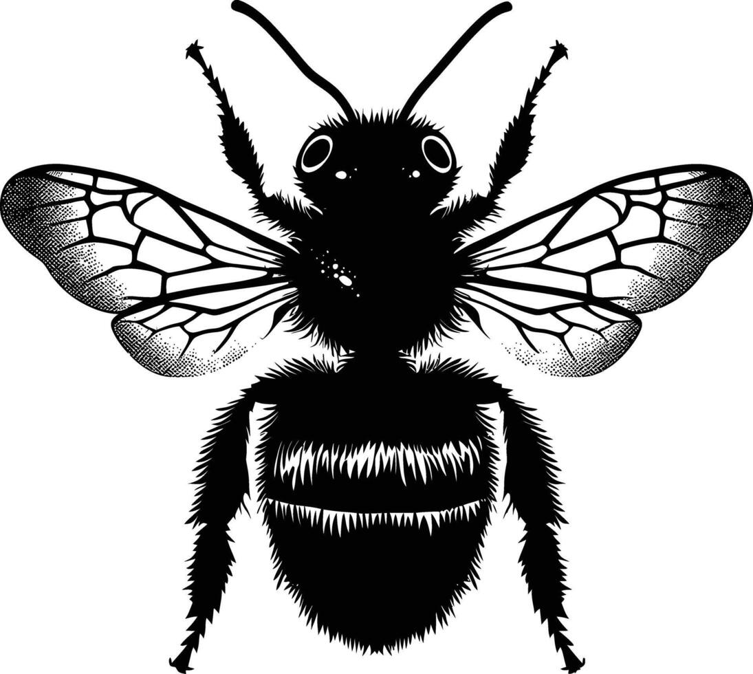 ai gerado silhueta abelha animal Preto cor só cheio corpo vetor