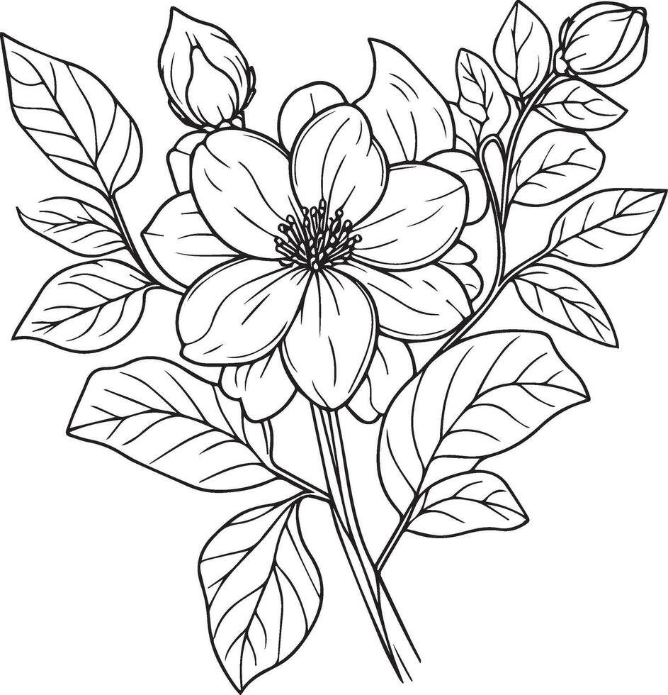 jasmim flor desenho, vetor esboço mão desenhou ilustração artístico, simplicidade, coloração Páginas, imprimível jasmim flor coloração Páginas, flor coloração folha, isolado em branco fundo