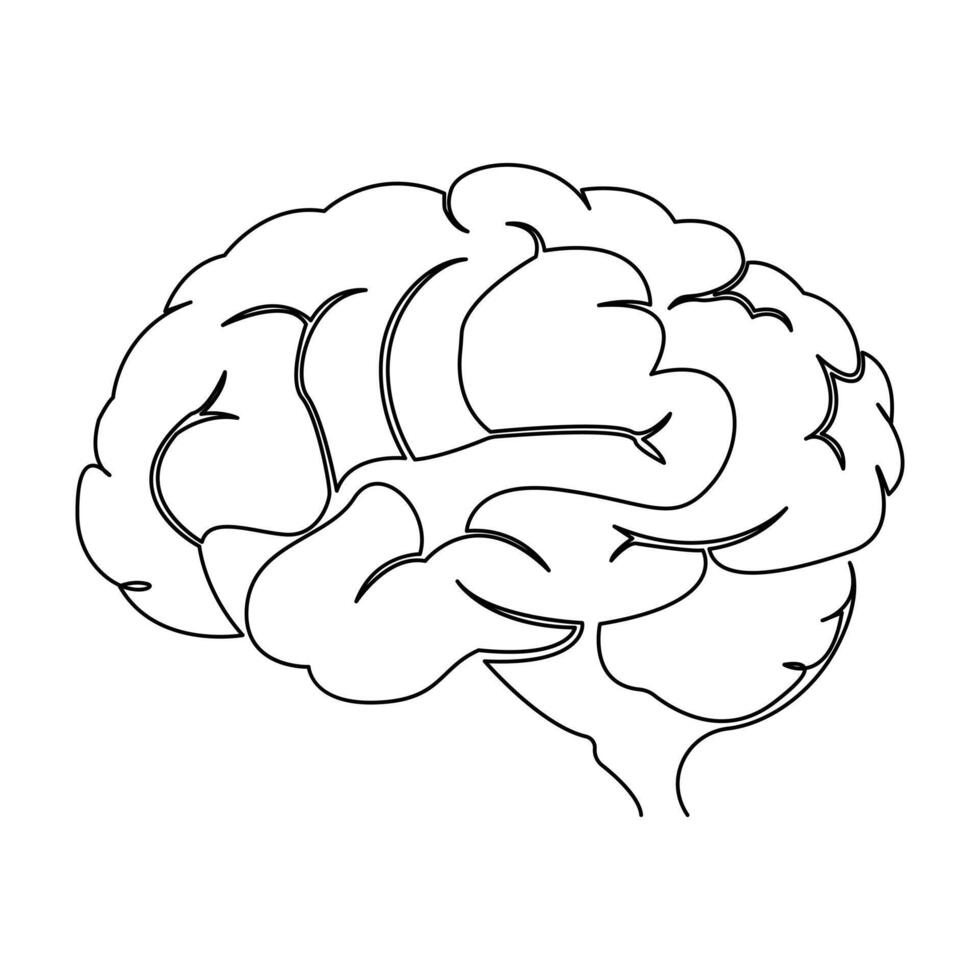 contínuo solteiro linha desenhando do humano cérebro vetor ilustração em uma branco fundo