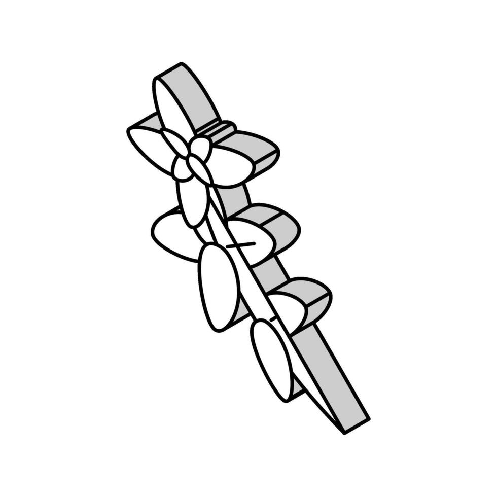 orégano plantar ramo isométrico ícone vetor ilustração