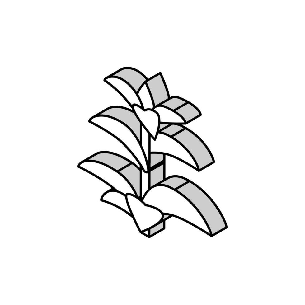 hortelã-pimenta erva isométrico ícone vetor ilustração