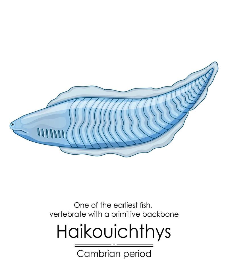 haikouichthys é conhecido Como 1 do a primeiro peixe vetor