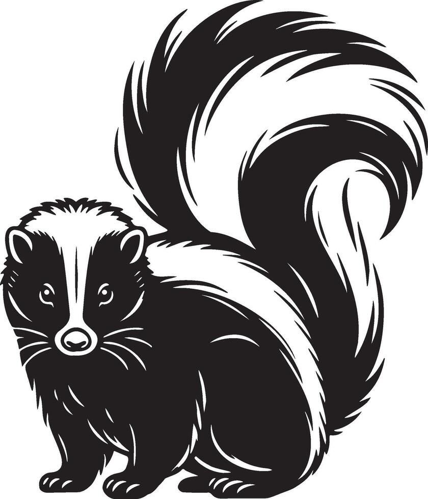 Skunk esboço ilustração. vetor