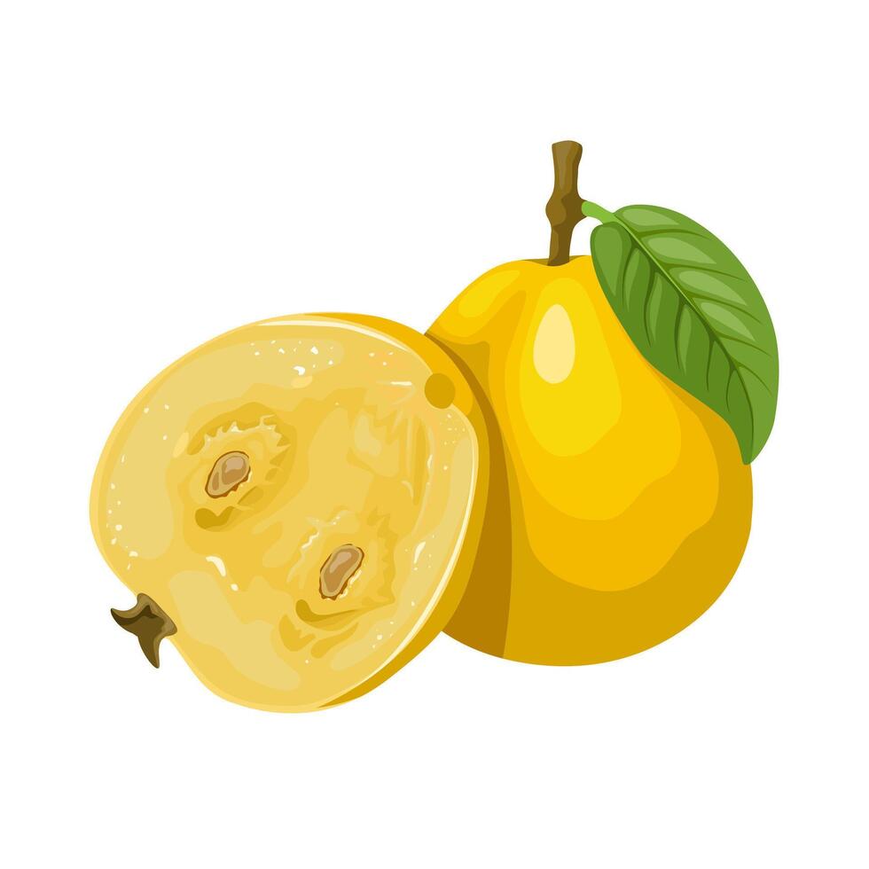 vetor ilustração, Araza fruta ou aracá cara, científico nome Araza eugenia estipitata, isolado em branco fundo.