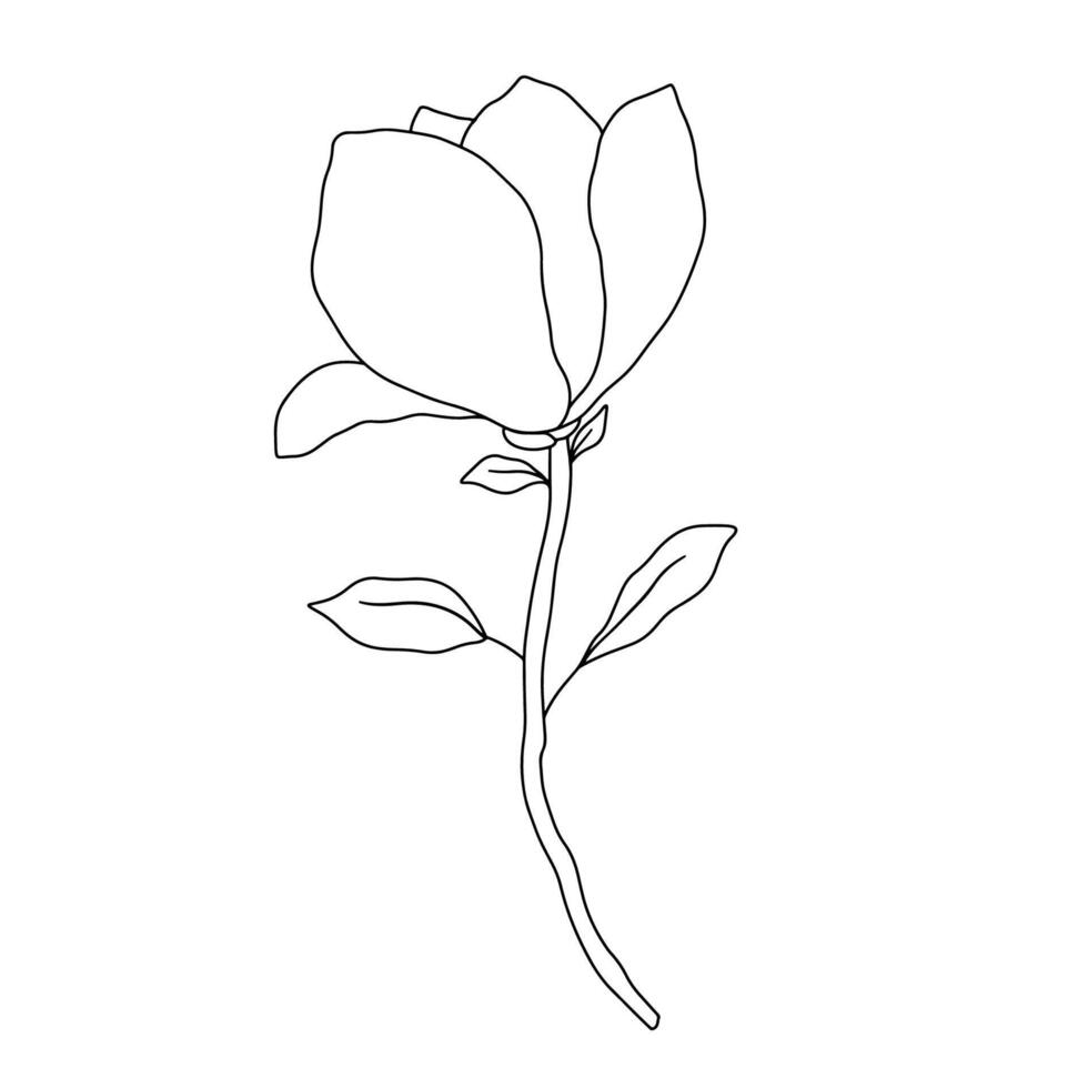 magnólia linha arte vetor ilustração. mão desenhado Preto tinta esboço isolado em branco. esboço floral rabisco