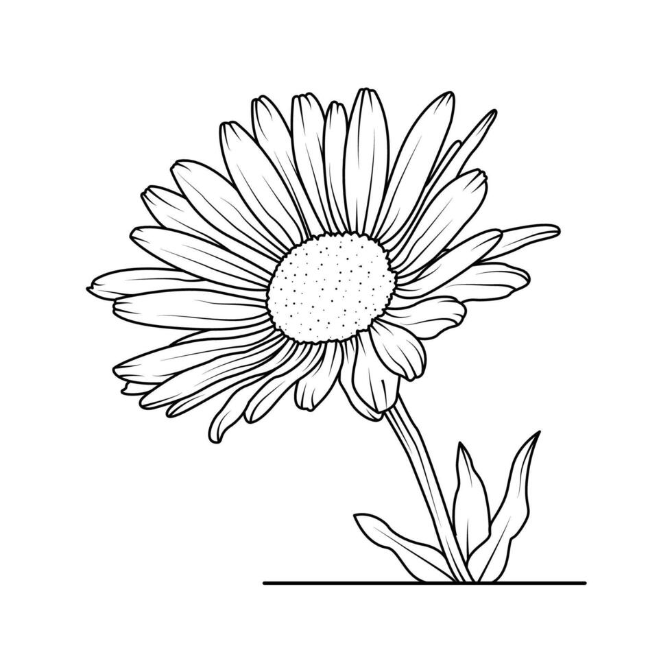a ilustração do áster flor vetor