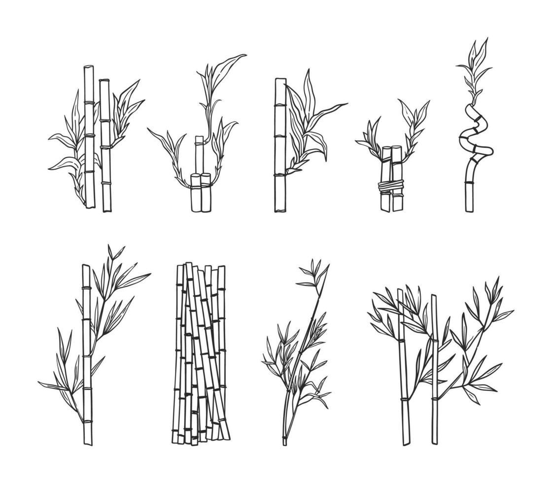 mão desenhado Preto cor bambu galhos, folhas e vapores isolado em branco fundo vetor