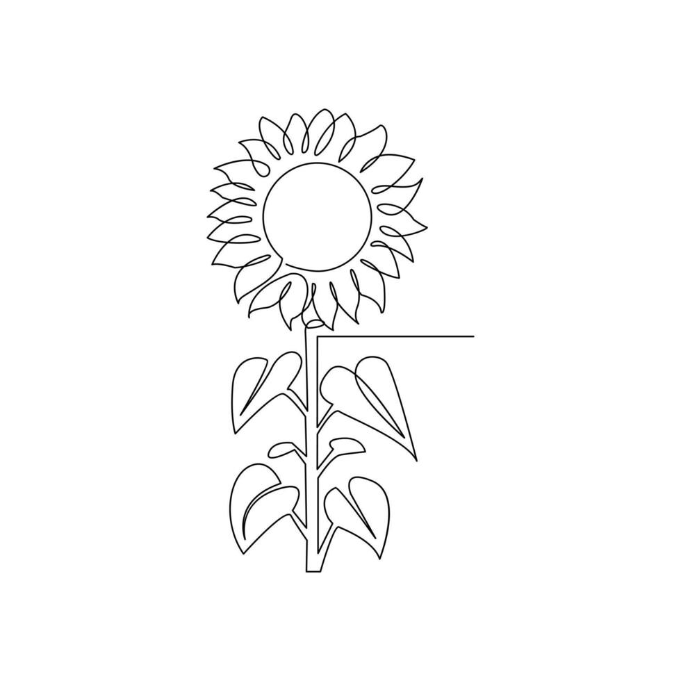 girassol dentro uma contínuo 1 linha estilo mão desenhado esboço do flor isolado em branco fundo vetor