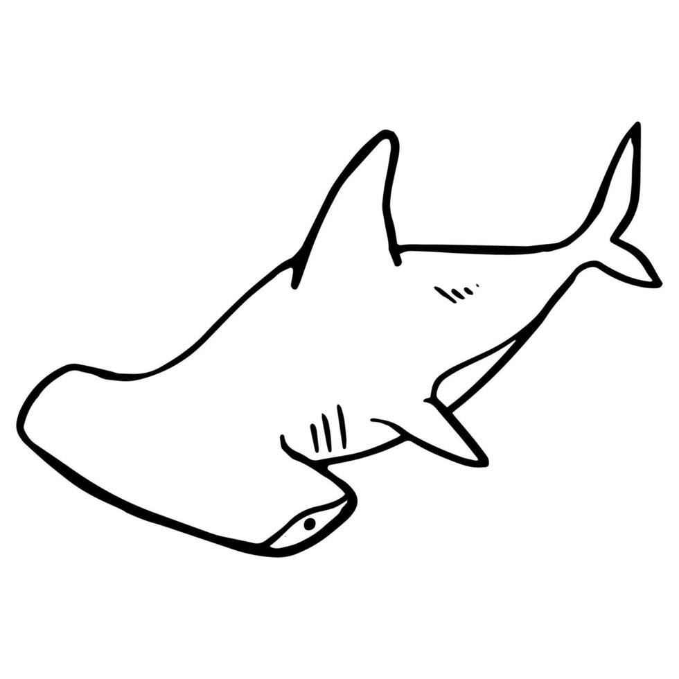 martelo cabeça Tubarão ícone. mão desenhado vetor ilustração. mar animal predador.