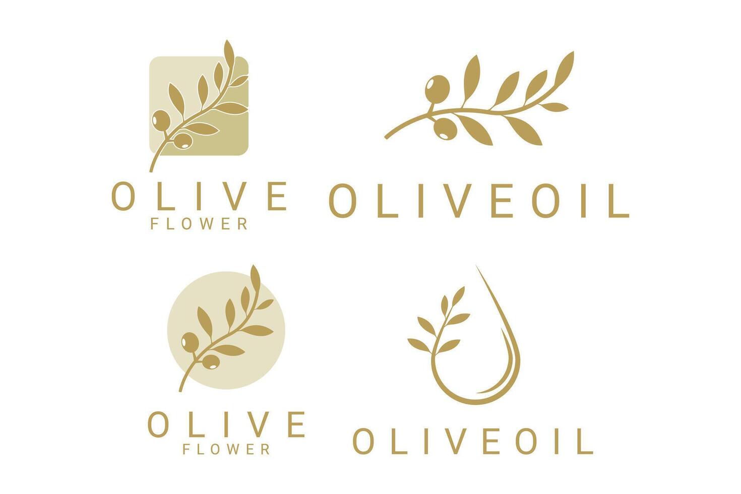 Oliva óleo logotipo Projeto conceito. Oliva óleo logotipo Projeto conjunto coleção vetor