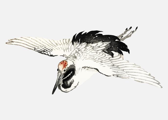 Andorinha voadora por K? No Bairei (1844-1895). Digitalmente aprimorado de nossa própria edição original de 1913 do Bairei Gakan. vetor