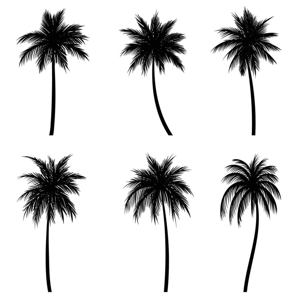 Palma árvore coco silhueta conjunto coleção vetor
