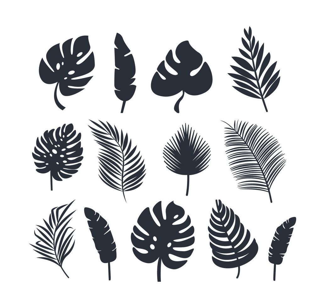 coleção do tropical plantar folha silhuetas, apresentando uma variedade do formas e tamanhos, ideal para botânico temas vetor