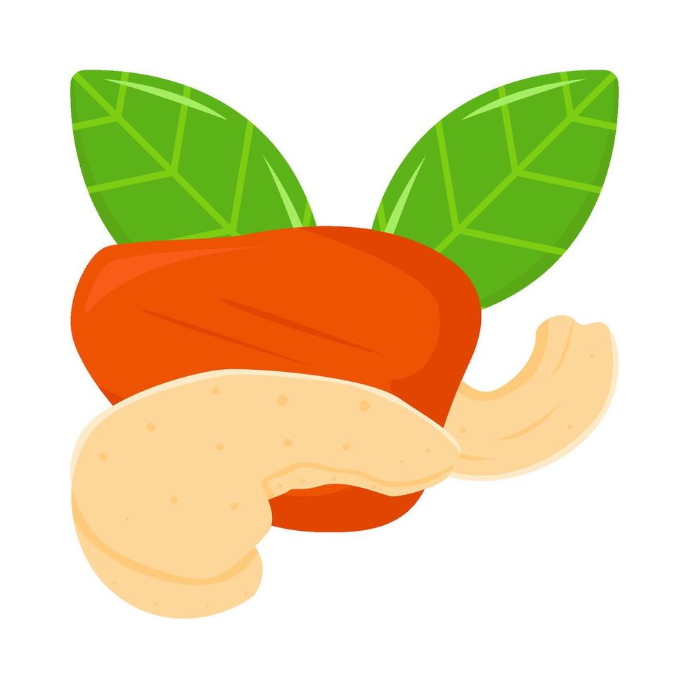 caju fruta com caju nozes ilustração vetor