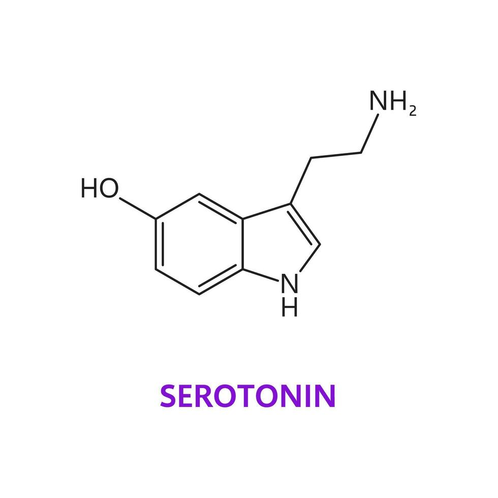 neurotransmissor serotonina químico Fórmula vetor