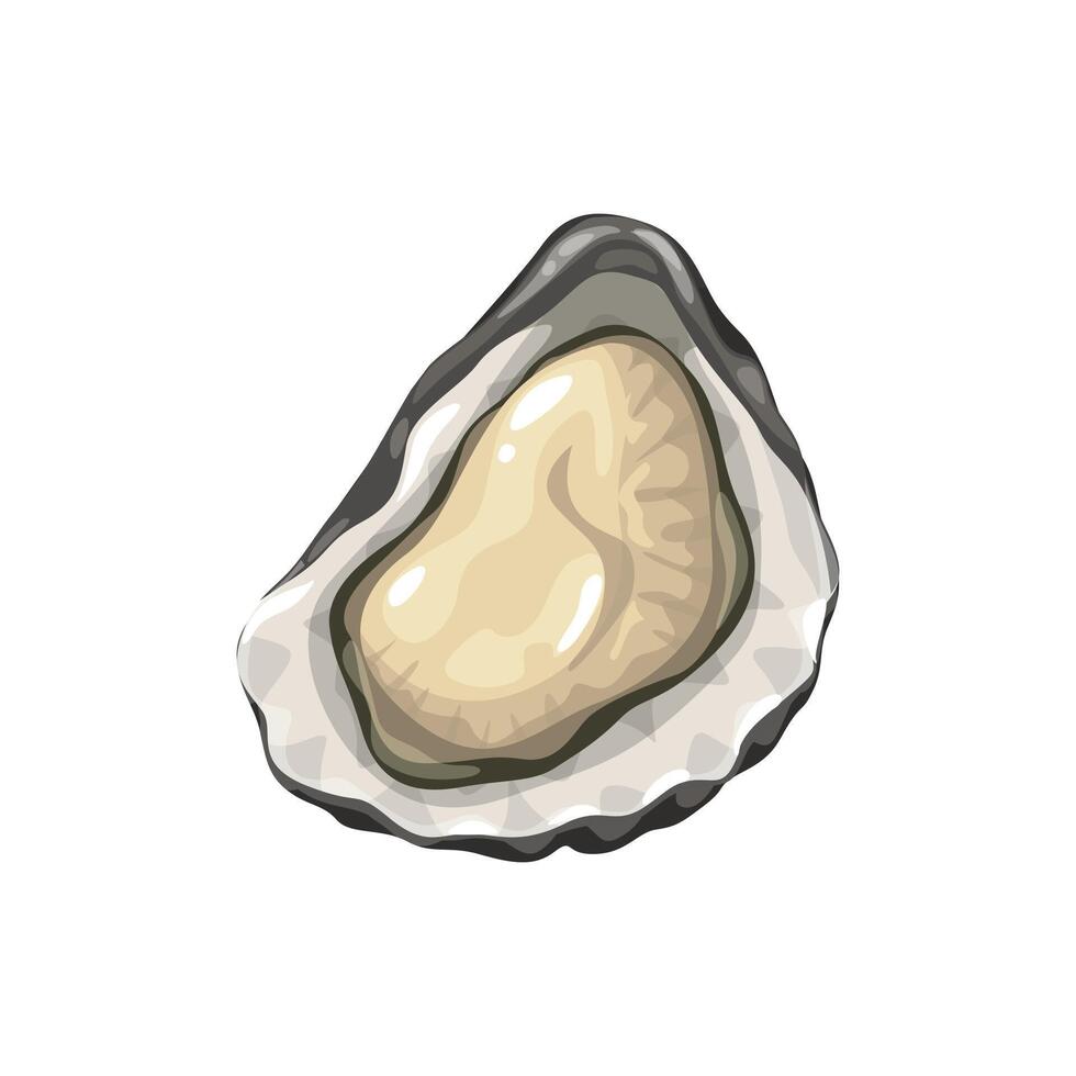 ostra, desenho animado frutos do mar cozinha, mar Comida molusco vetor