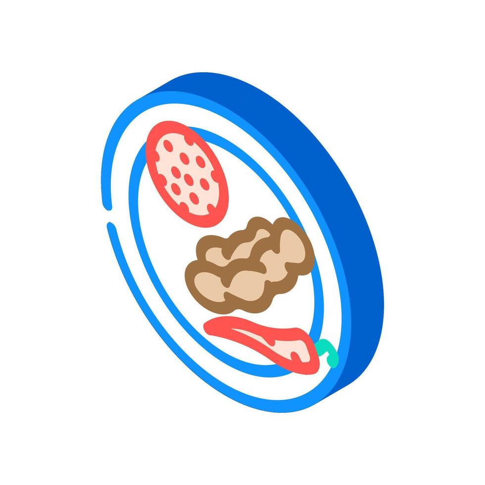 Tamarindo molho tailandês cozinha isométrico ícone vetor ilustração