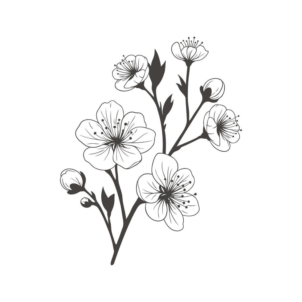 sakura ramo com flores mão desenhado vetor ilustração isolado em branco fundo