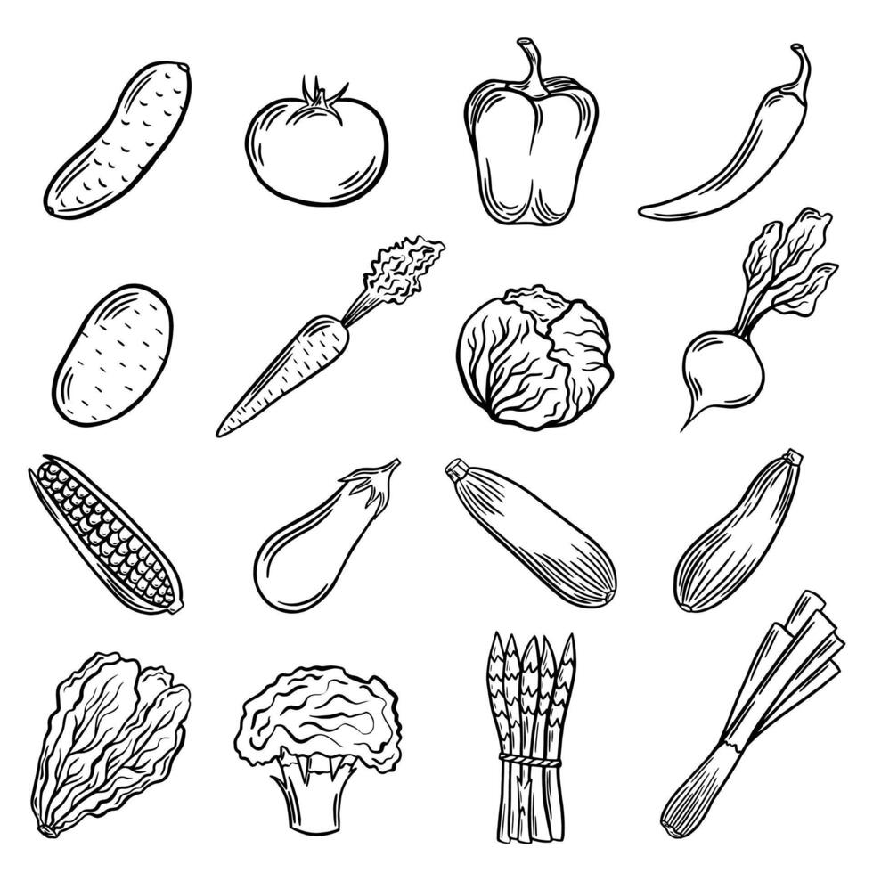 Preto legumes contorno. conjunto do vetor ilustrações, saudável comida, legumes, vegetal adesivos. linha arte