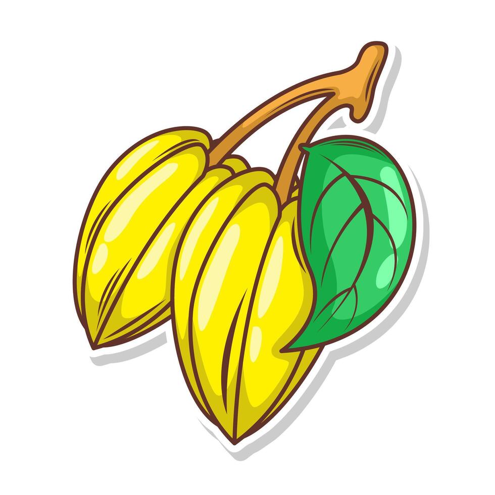 carambola desenho animado mão desenhar ilustração vetor