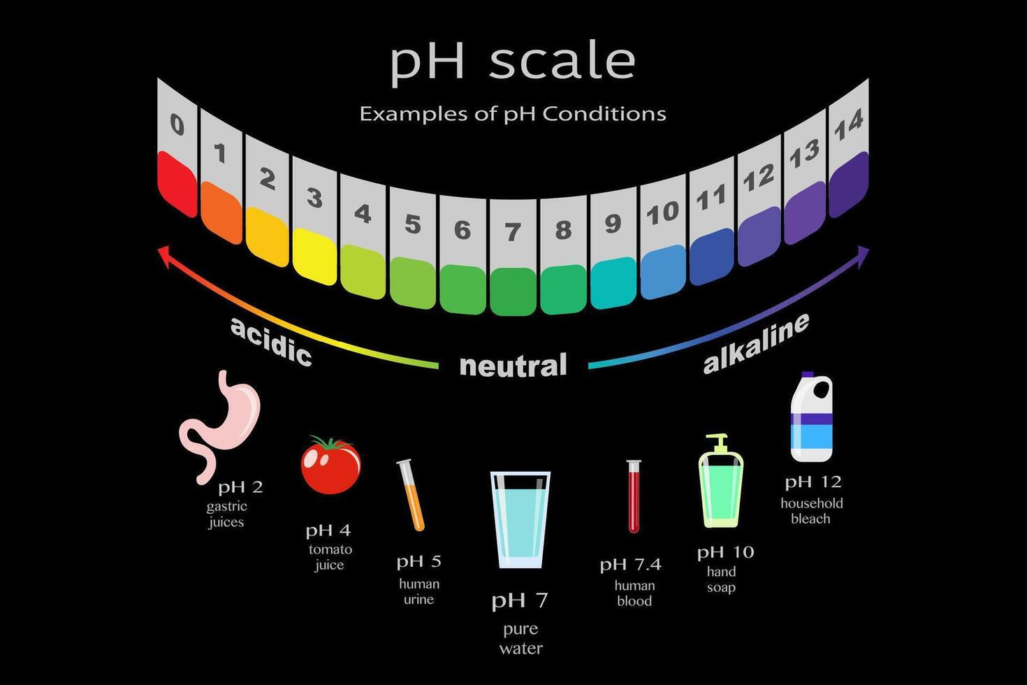 escala do ph valor para ácido e alcalino soluções, infográfico base ácida equilíbrio. escala para químico análise ácido base. exemplos do ph condições, vetor ilustração isolado ou Preto fundo