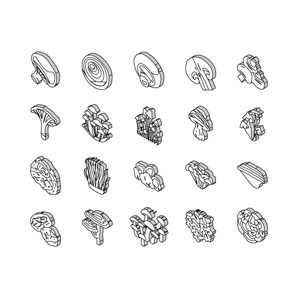 cogumelo Comida floresta fungos isométrico ícones conjunto vetor