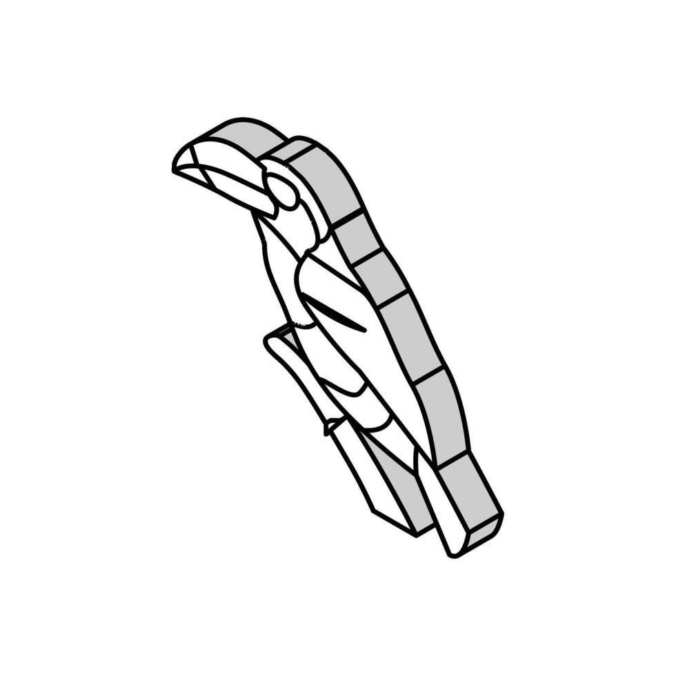 ondulação com crista araçari pássaro exótico isométrico ícone vetor ilustração