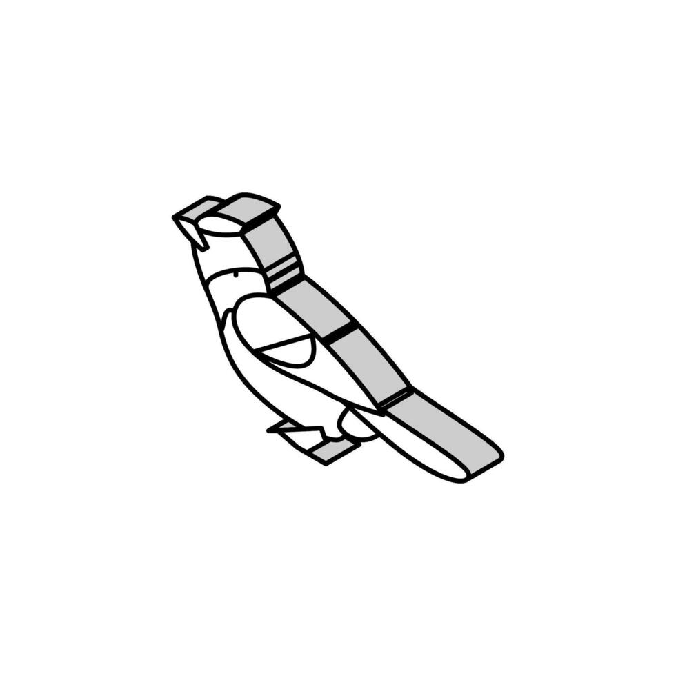 darnauds barbet pássaro exótico isométrico ícone vetor ilustração