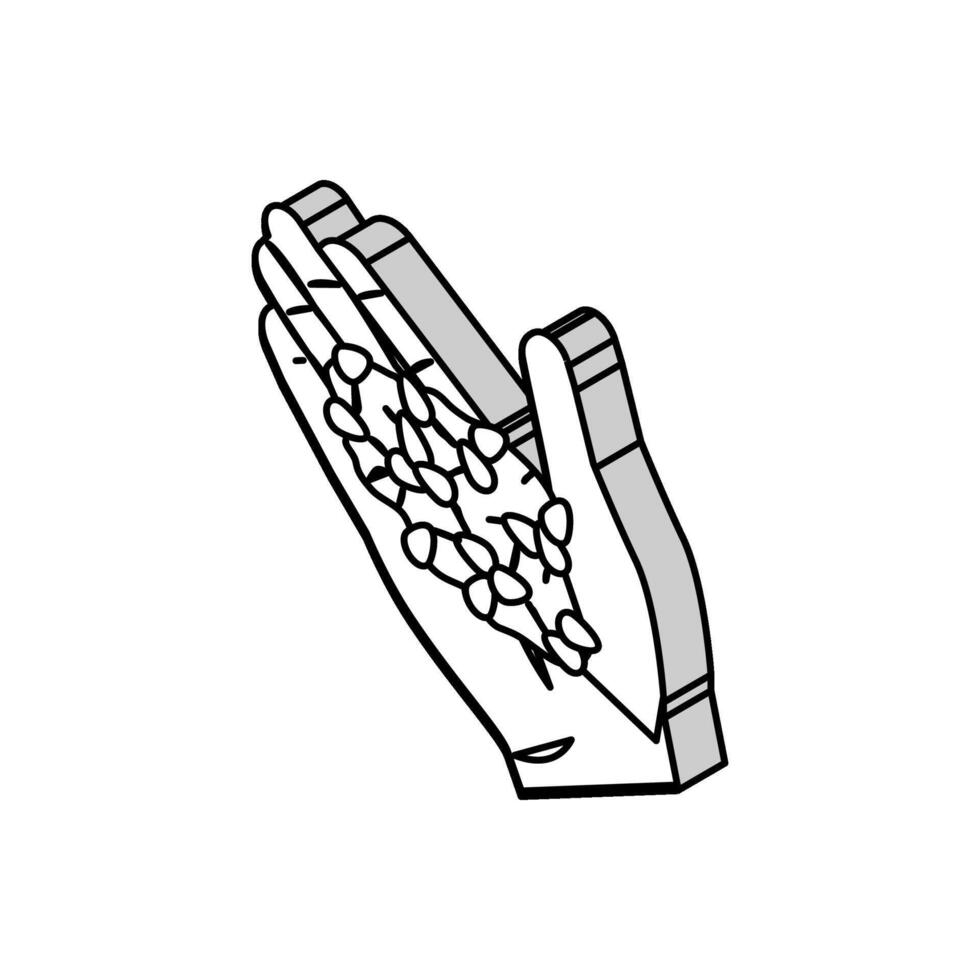 mão trigo grão colheita isométrico ícone vetor ilustração